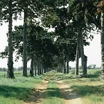 Alle Keszthely