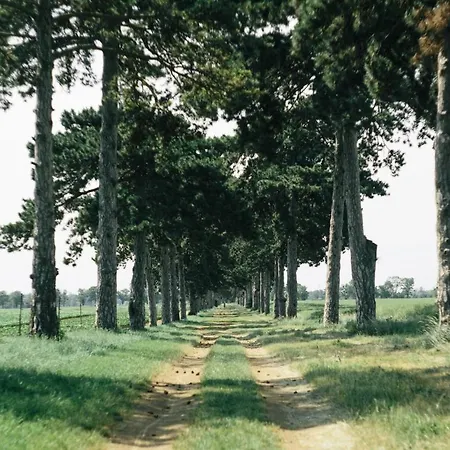 Alle Keszthely